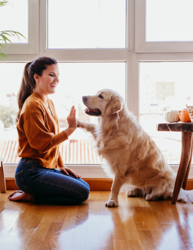 Home_Section1_Image2